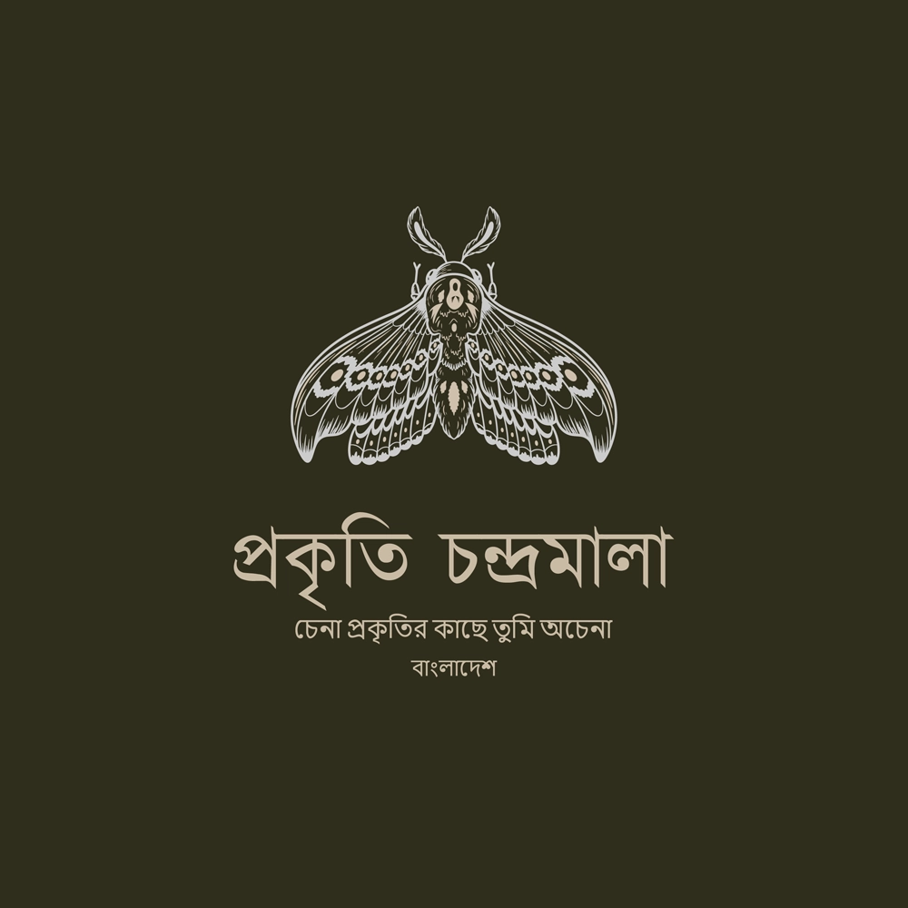 Bengali Logo Design Services
